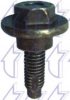 FIAT 7785196 Screw